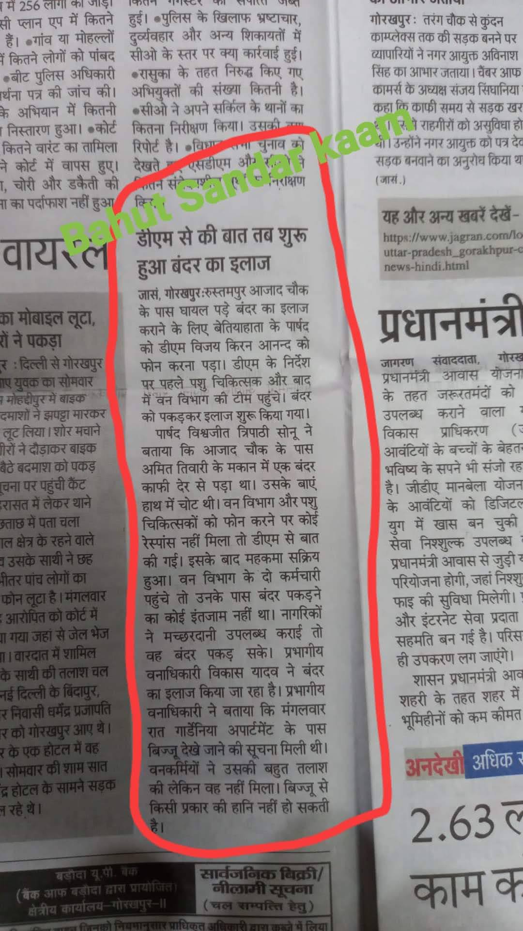डीएम से की बात तब शुरू हुआ घायल बंदर का इलाज